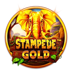 denr what sport is the best to bet on